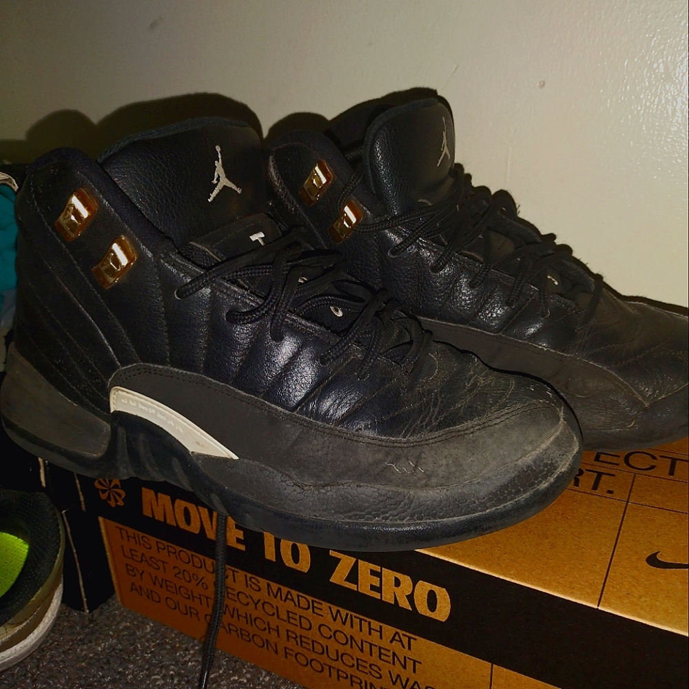 Jordan retro 12s
